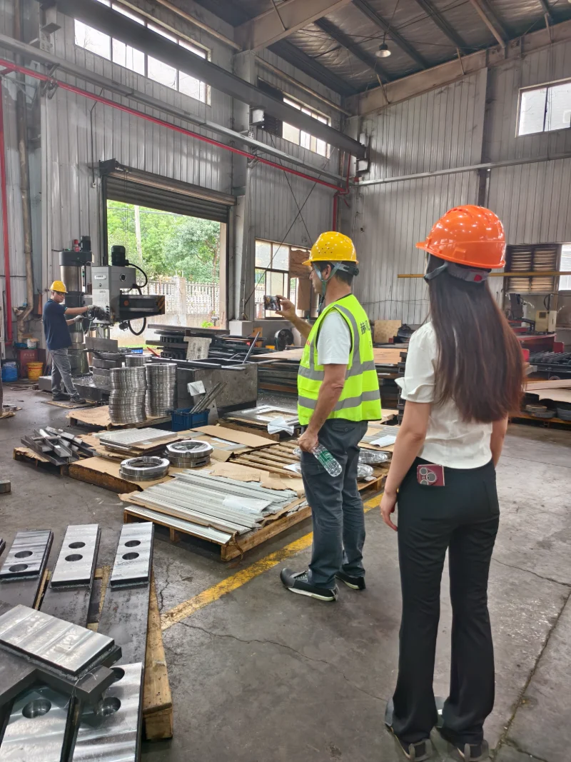 Il CEO del gruppo TORRENT visita lo stabilimento Hehua Machinery Technology in Cina